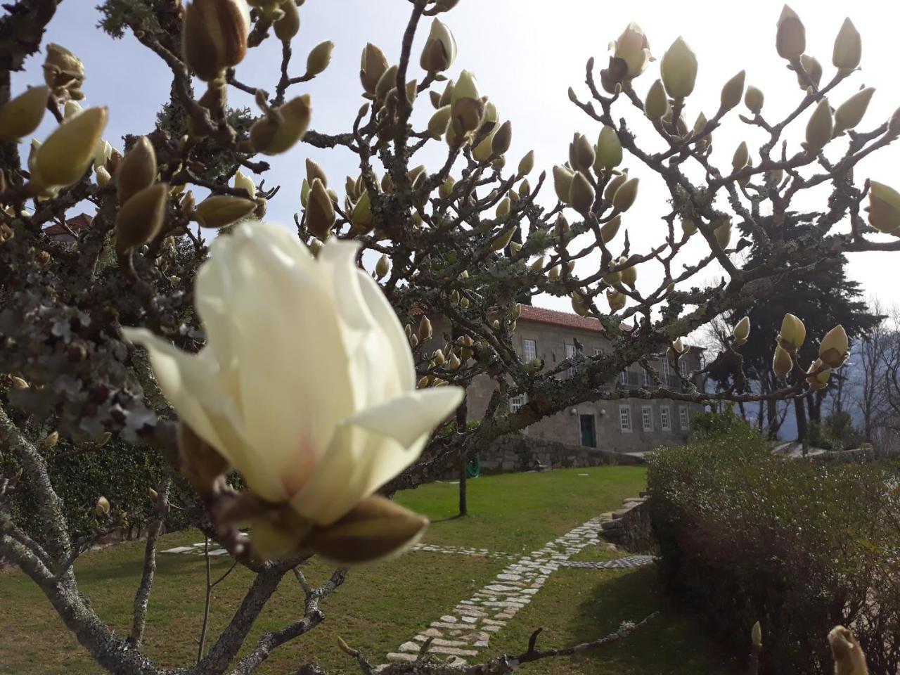 Hotel Quinta de Águia - Non-Smoking Property São Lourenço do Douro Esterno foto