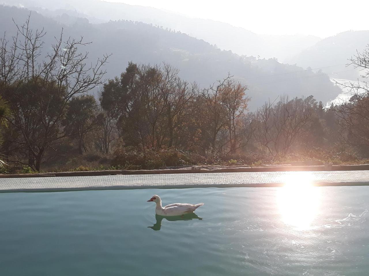 Hotel Quinta de Águia - Non-Smoking Property São Lourenço do Douro Esterno foto